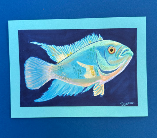 Blue Fish