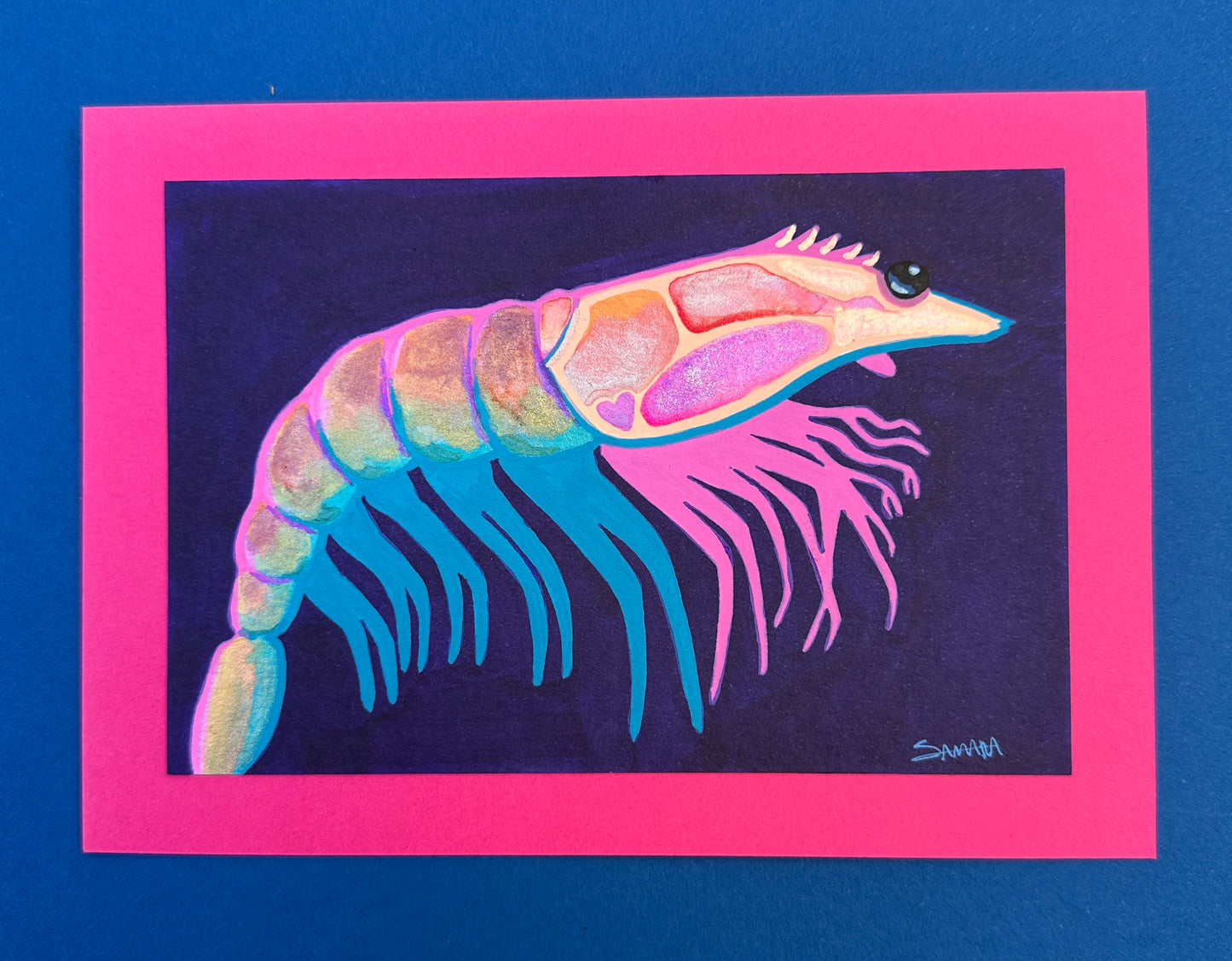 Sassy Shrimp