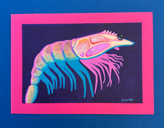 Sassy Shrimp