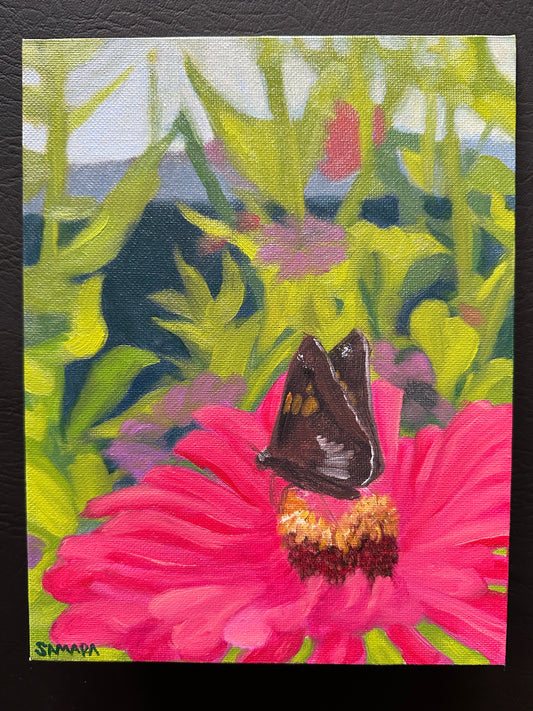ZButterfly