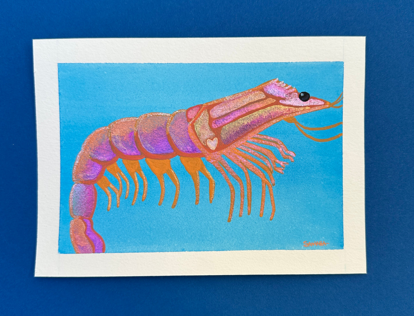 Disco Shrimp
