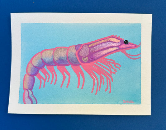 Disco Shrimp