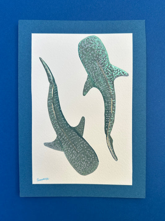 Whale Sharks