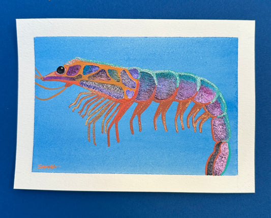 Glow Shrimp