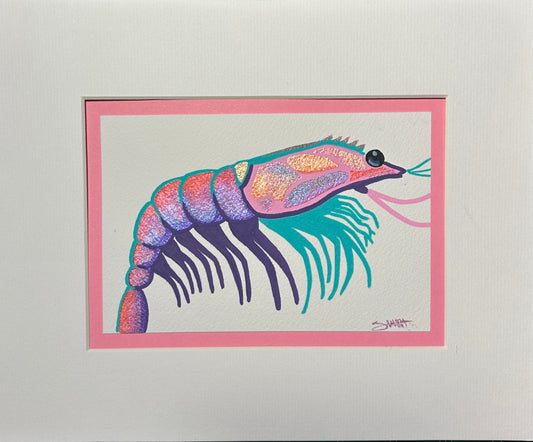 Disco Shrimp, Purple