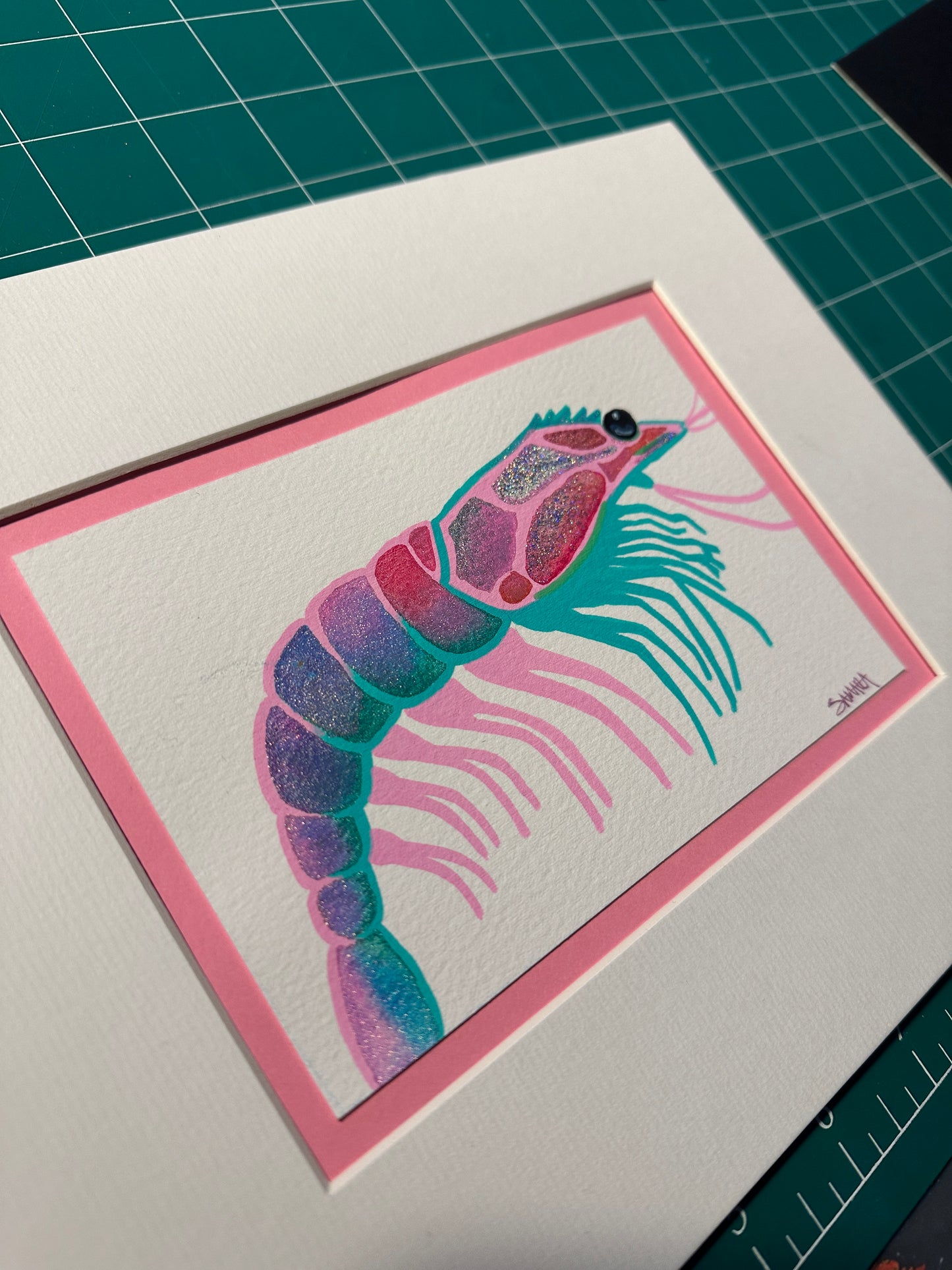Disco Shrimp, Pink