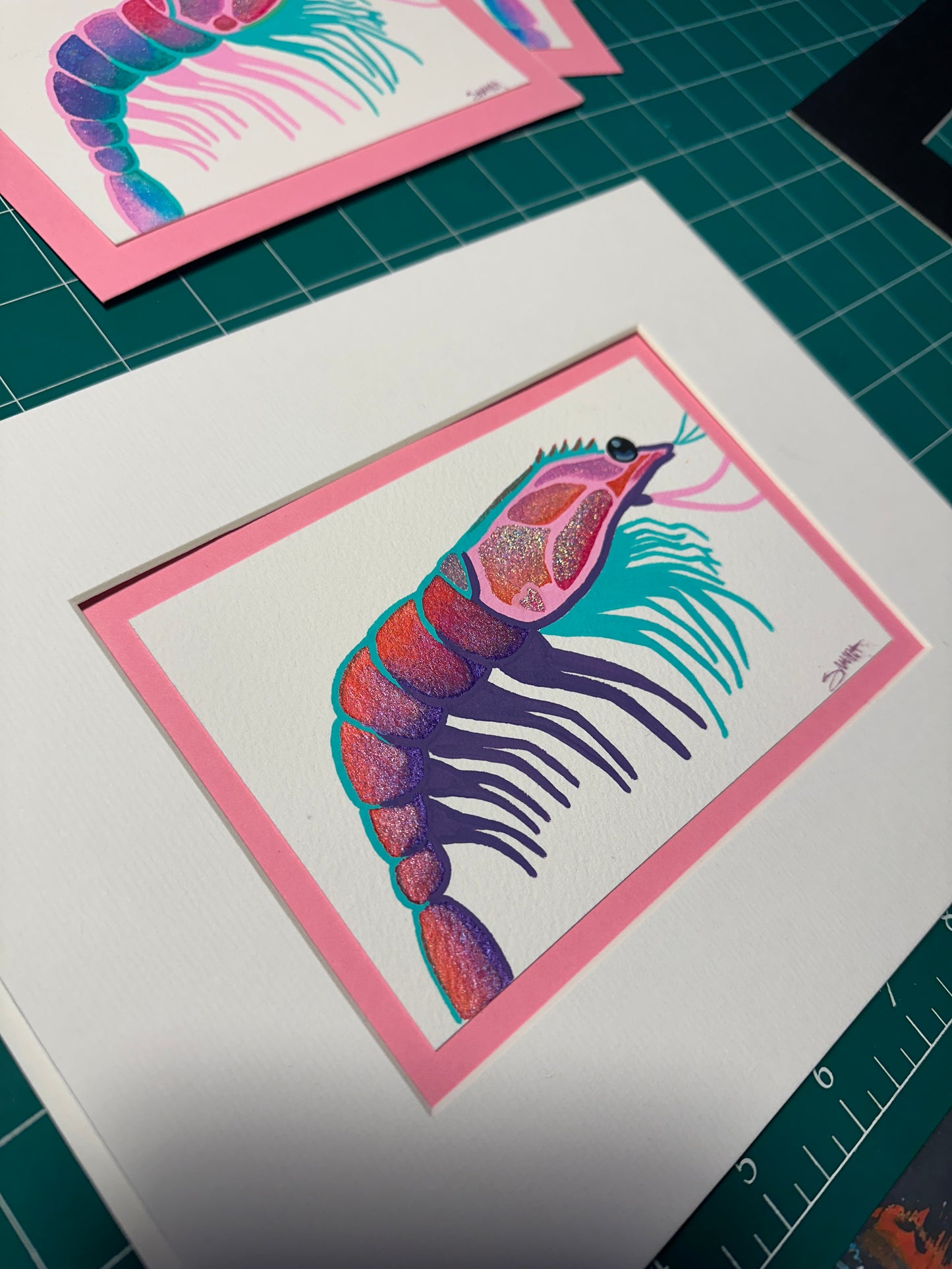 Disco Shrimp, Purple